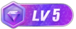 LV5 等级-LV5-源支付V8